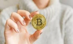 掌握比特币钱包：英文界